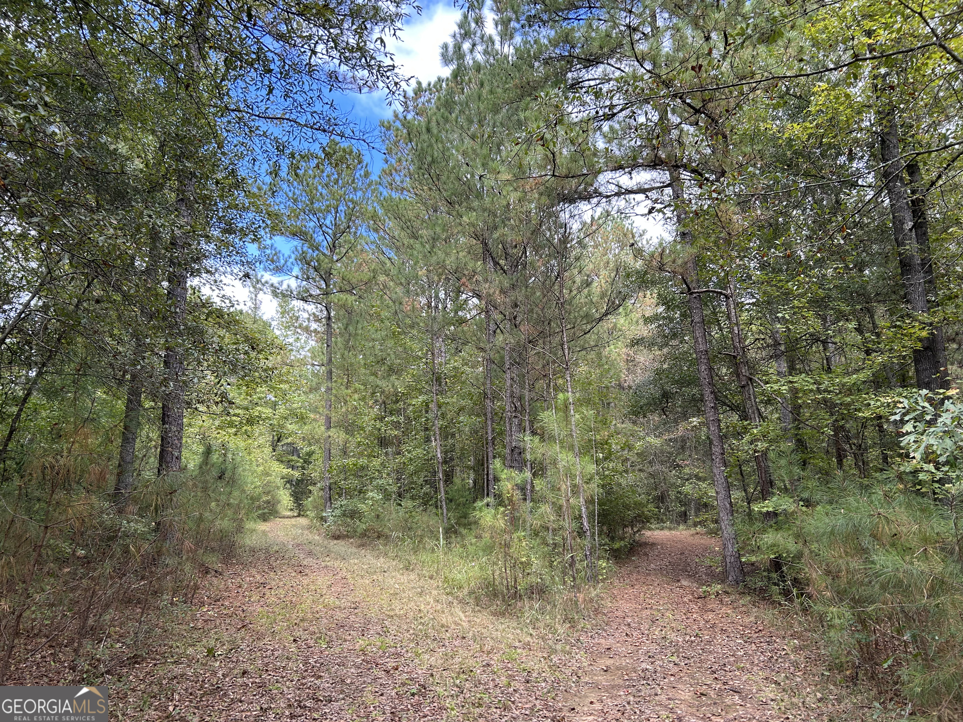 016 014 Pedenville/FlatShoals/Knott RDS