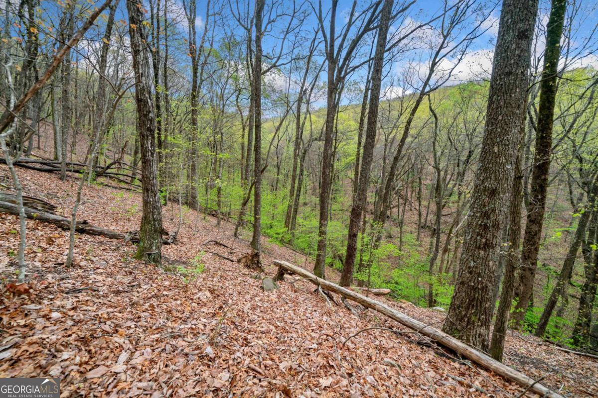 LOT 4527 Sassafras Mountain TRL