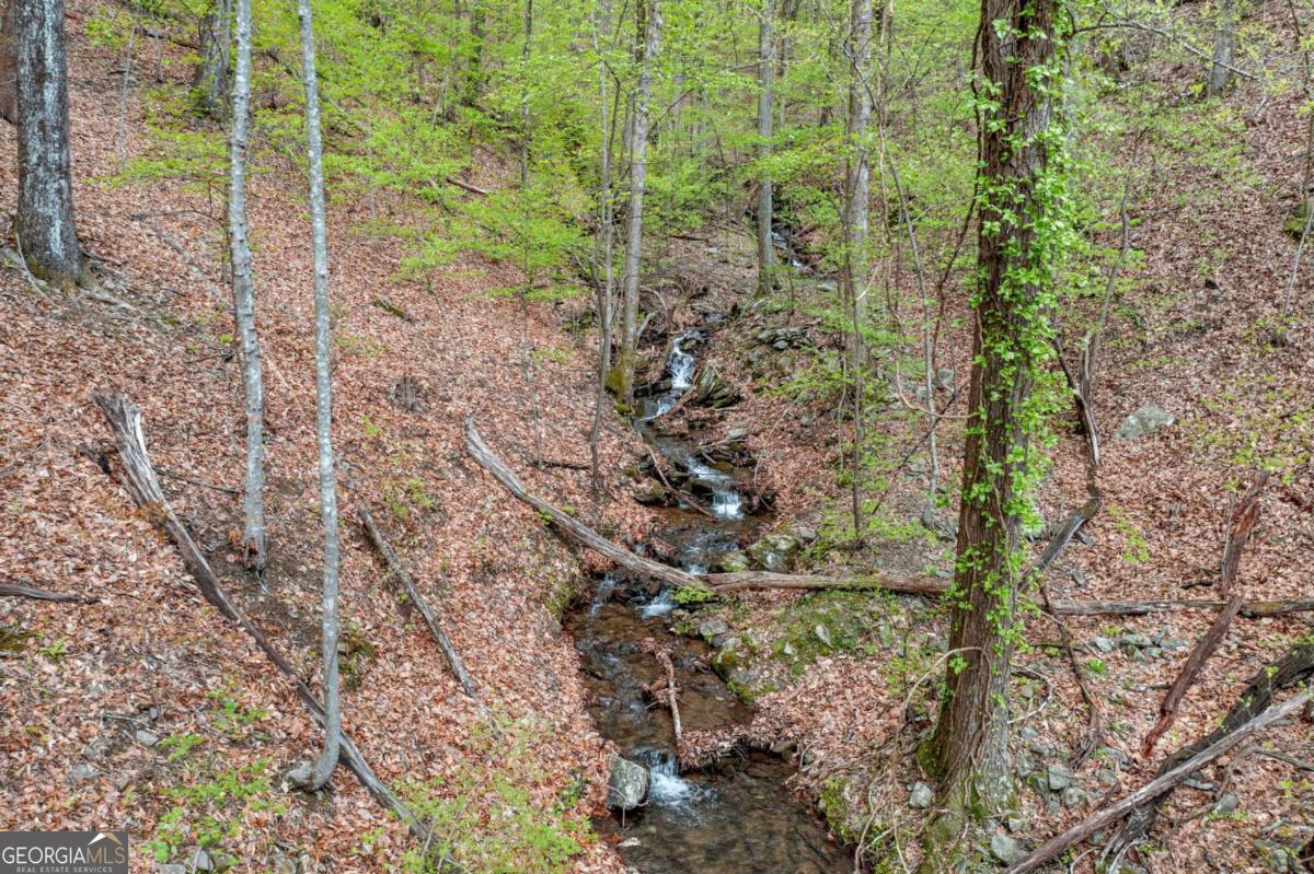 LOT 4527 Sassafras Mountain TRL