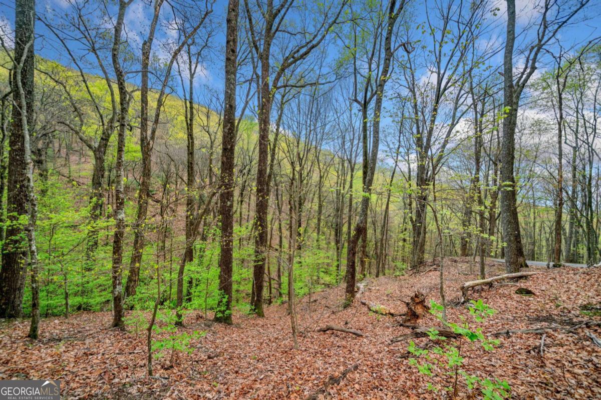 LOT 4527 Sassafras Mountain TRL