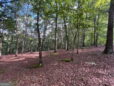 Photo of 5 Westwood Avenue #5, Blairsville, GA 30512 (MLS # 10826448)
