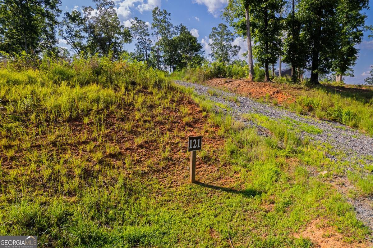 121 Jakes Landing DR 121