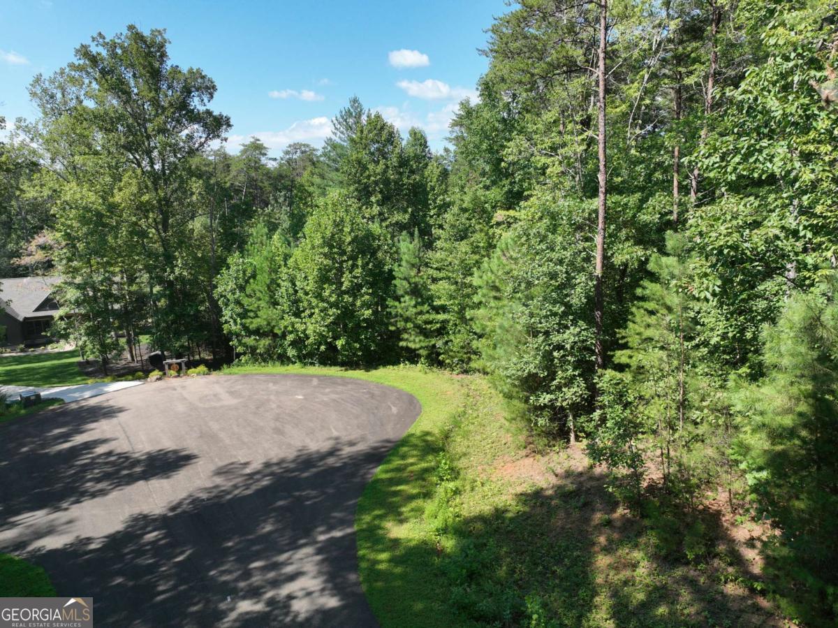 142R Autumn Fern LN