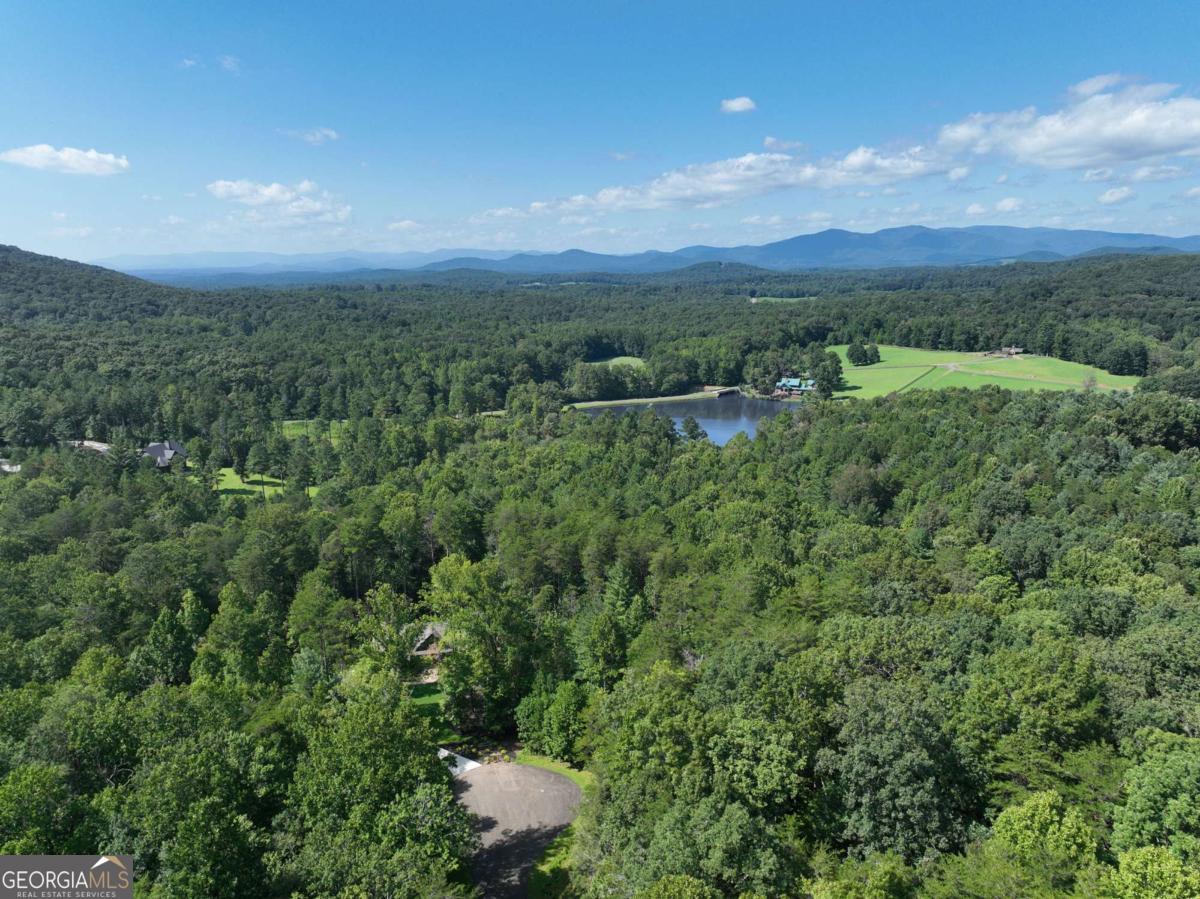 142R Autumn Fern LN