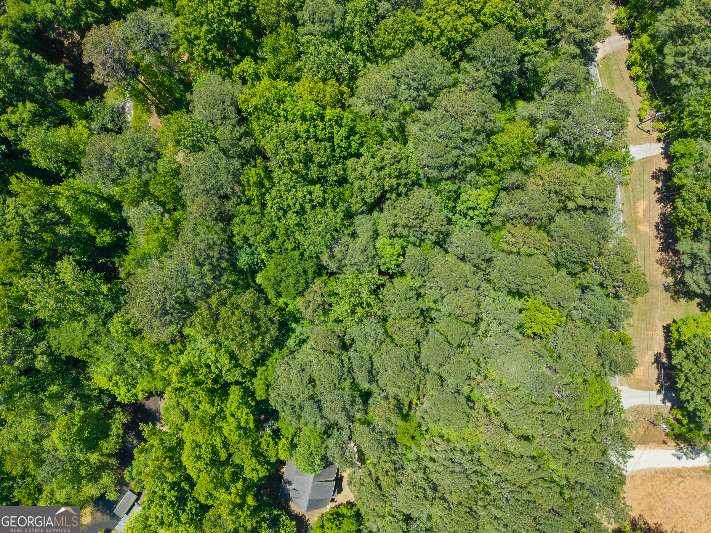 LOT 19 Apalachee Woods Trail