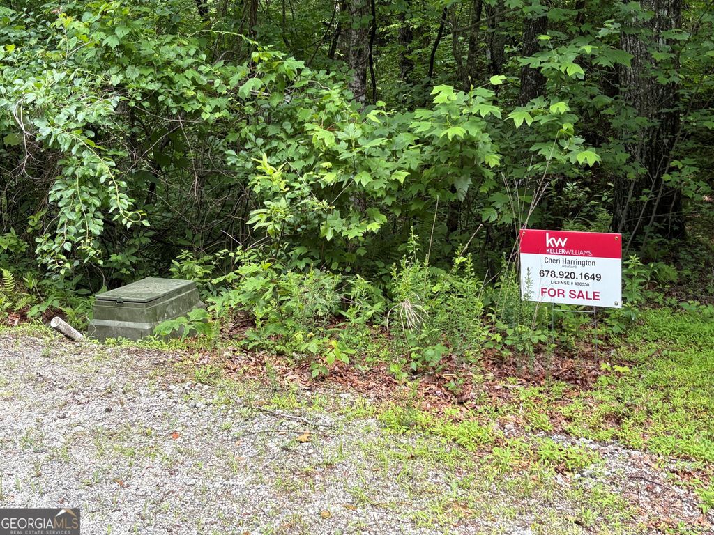 Photo of 0 Alto Lane, Rabun Gap, GA 30568 (MLS # 10669756)