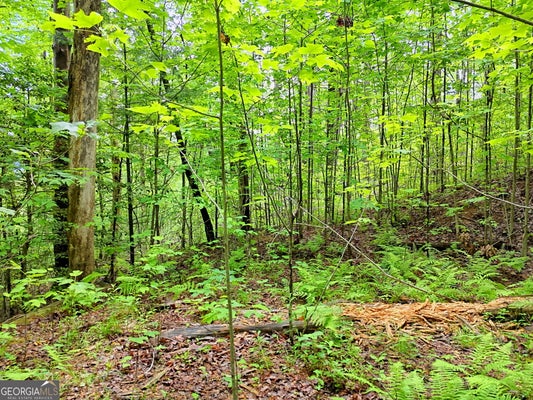 0 ALTO LANE, RABUN GAP, GA 30568 - Image f8daf26c76bcb361b8aa9b3e1ee235a2/3759582507