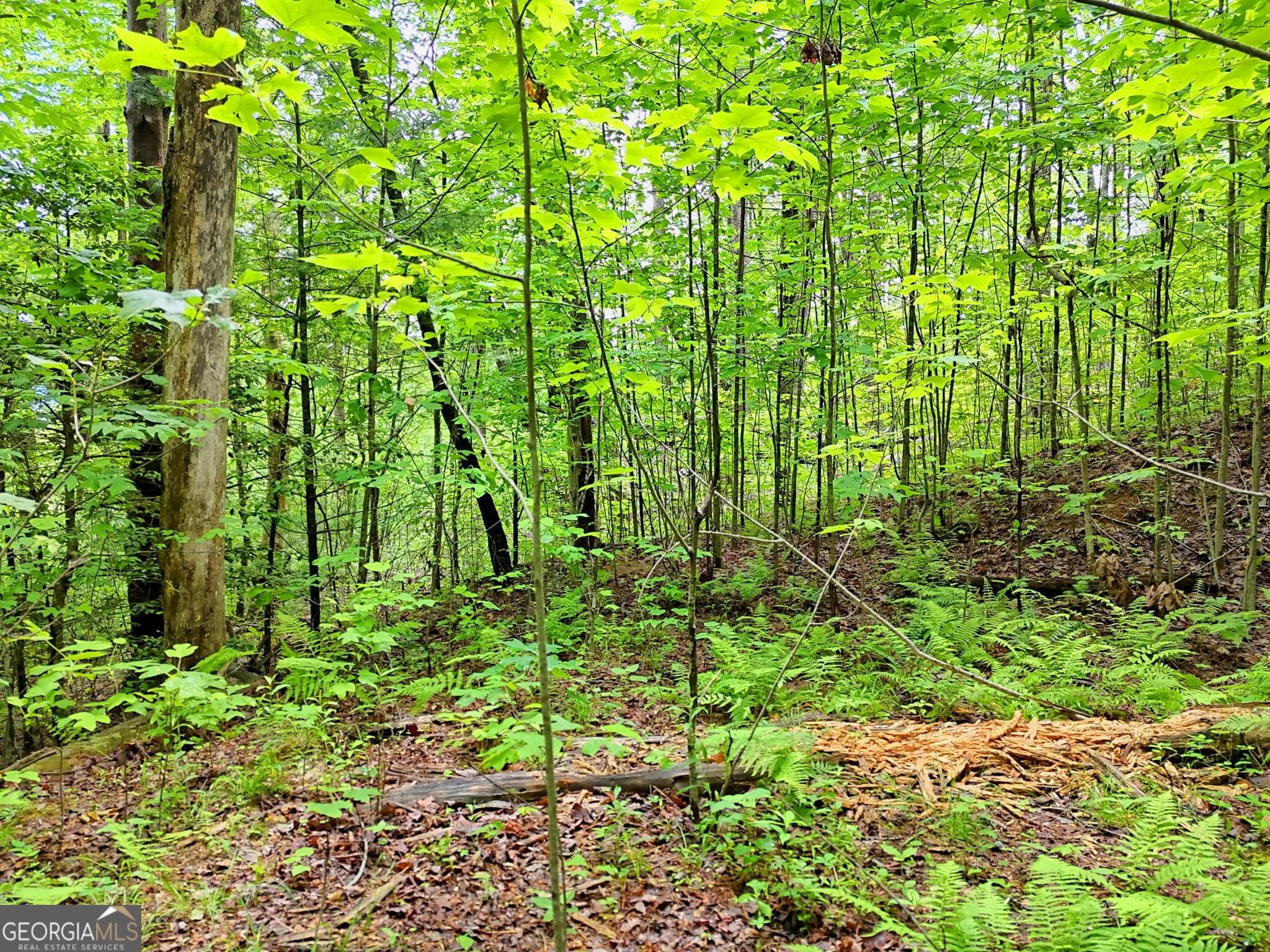 0 Alto Lane, Rabun Gap, GA, 30568