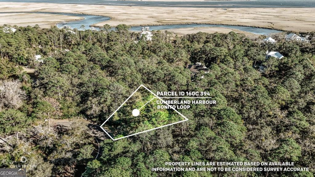 Photo of 394 BONITO Loop, St. Marys, GA 31558 (MLS # 10674620)