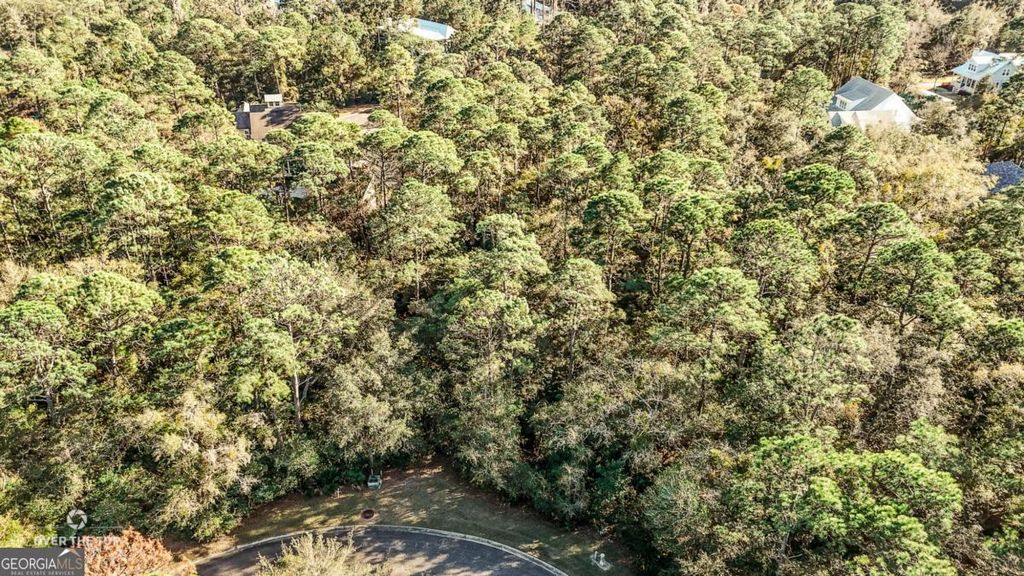 Photo of 394 BONITO Loop, St. Marys, GA 31558 (MLS # 10674620)