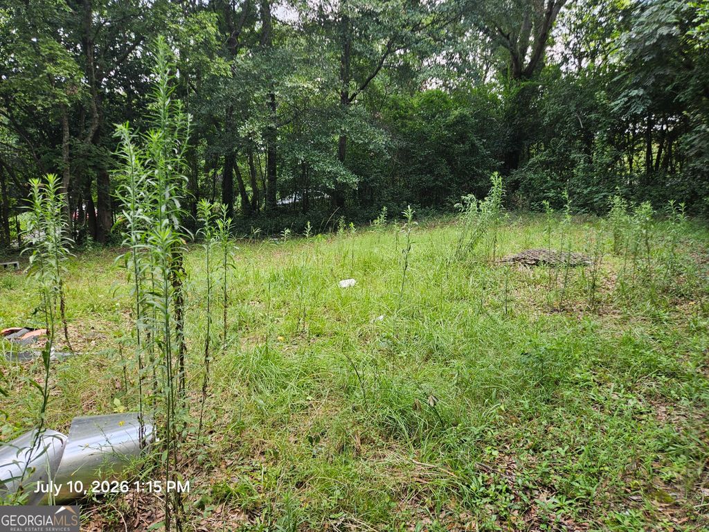 Photo of 4121 Forest Avenue W, Macon, GA 31204 (MLS # 10804896)
