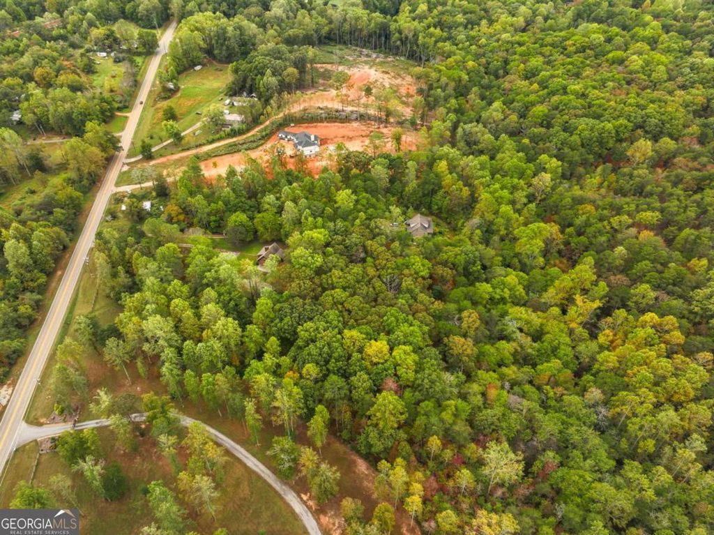 Photo of 6380 Dawsonville Highway, Dahlonega, GA 30533 (MLS # 10699313)