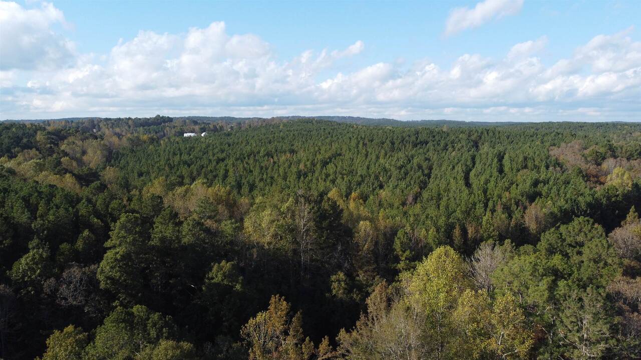 Photo 9 of 28 of 0-TR 6A County Rd 408 land