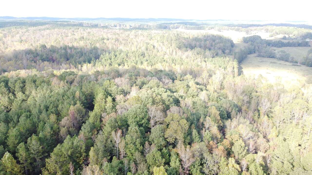 Photo 1 of 28 of 0-TR 6A County Rd 408 land