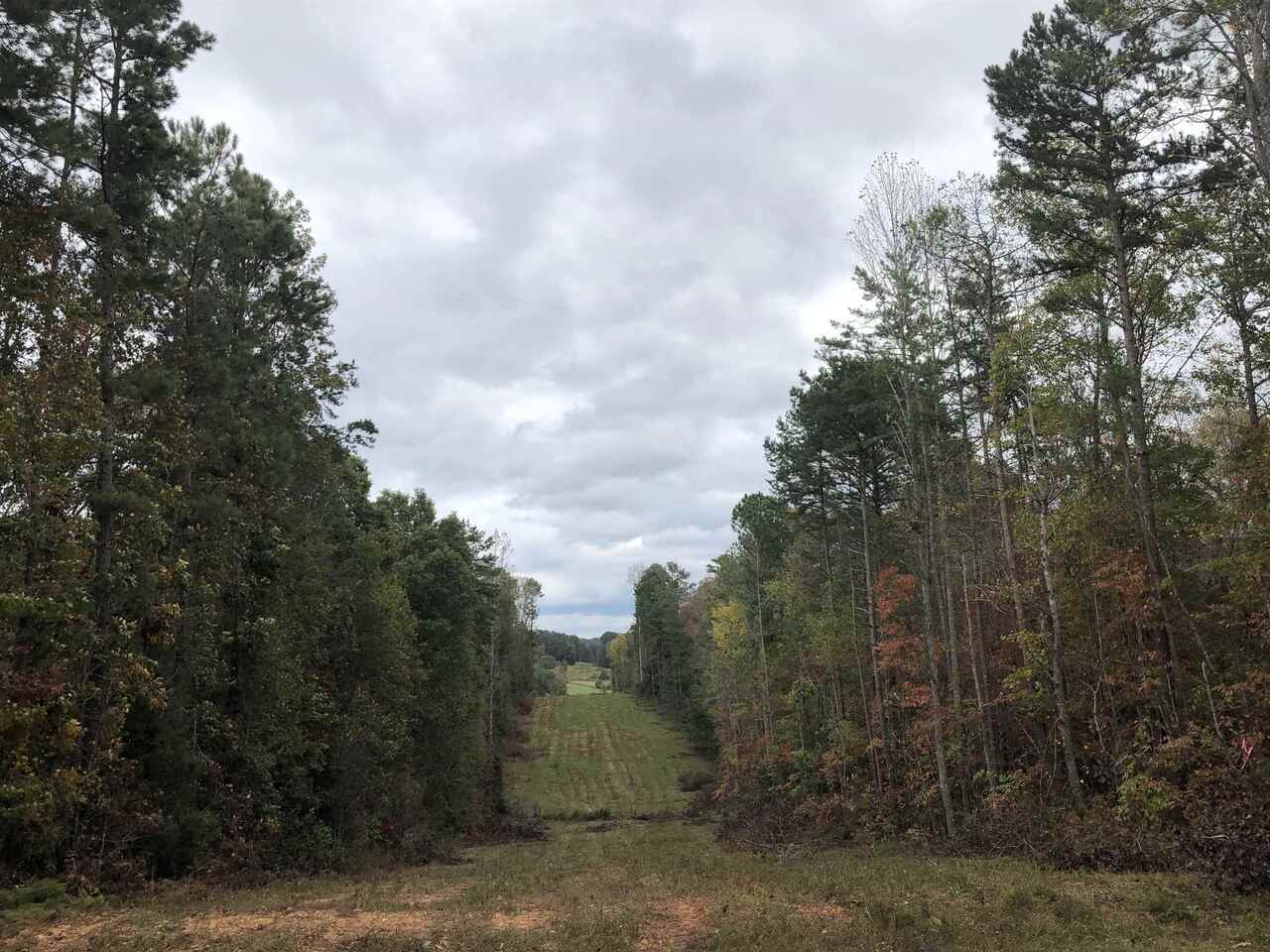 Photo 15 of 28 of 0-TR 6A County Rd 408 land