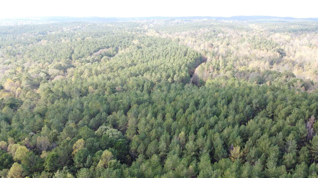 Photo 2 of 28 of 0-TR 6A County Rd 408 land