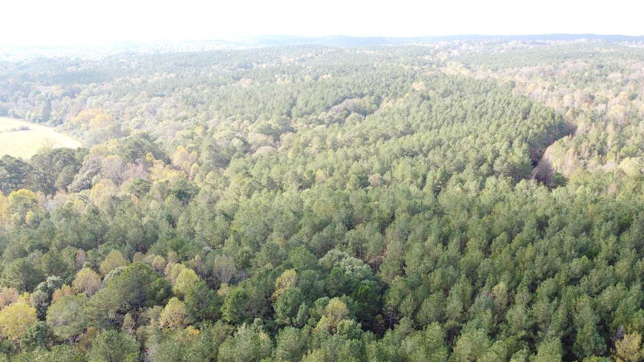 Photo 3 of 28 of 0-TR 6A County Rd 408 land