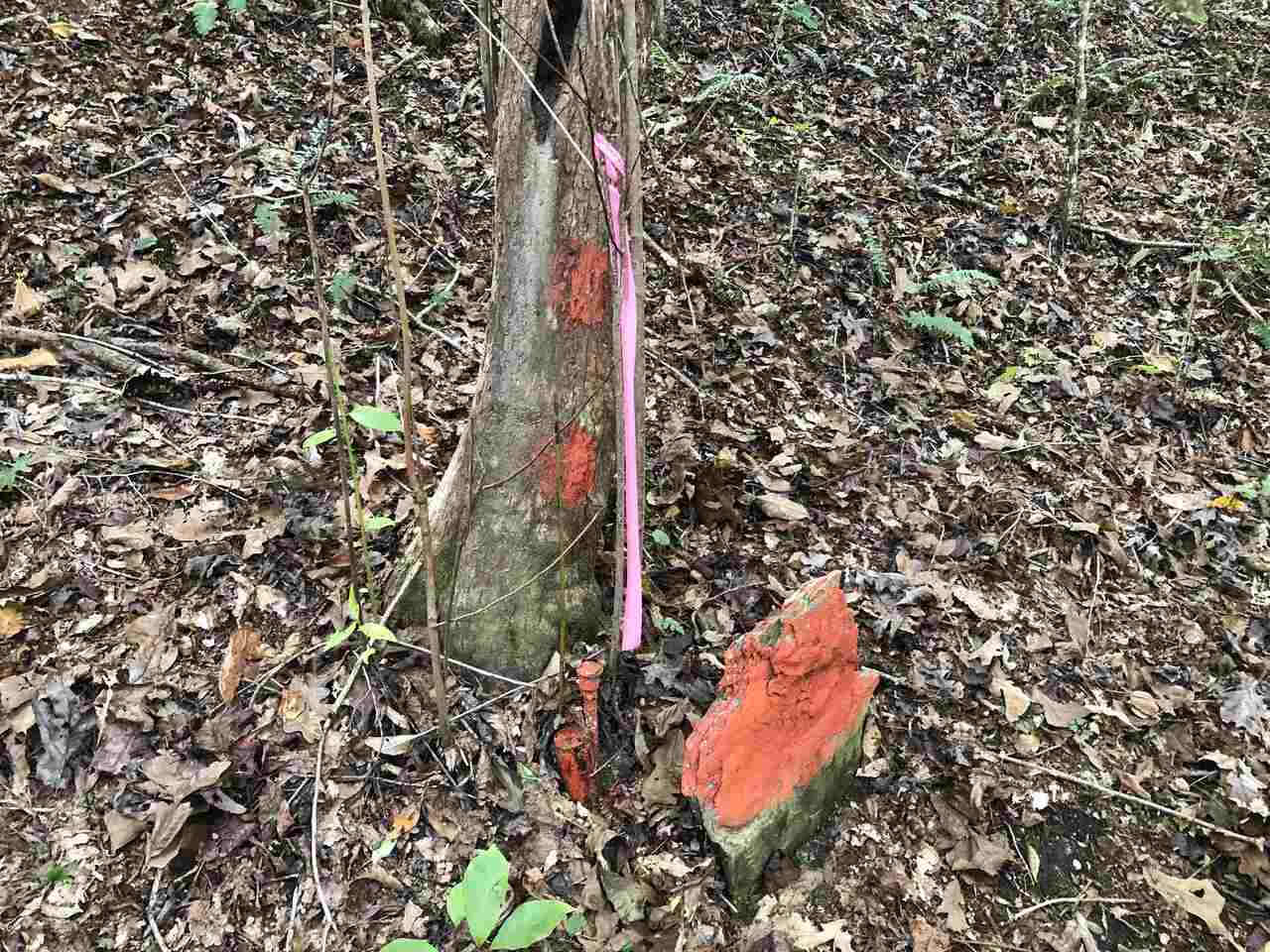 Photo 20 of 28 of 0-TR 6A County Rd 408 land