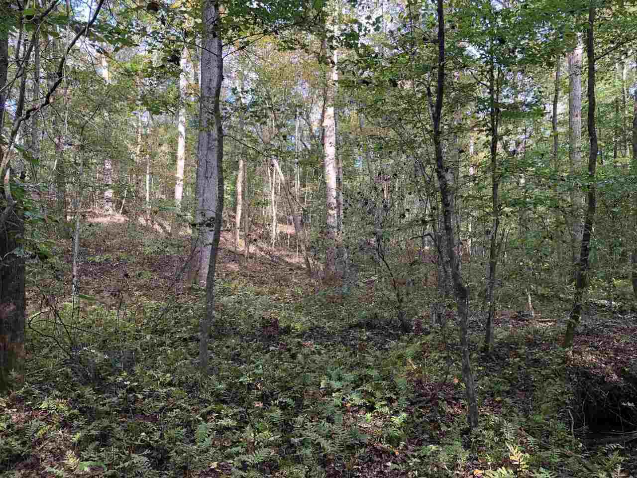 Photo 19 of 28 of 0-TR 6A County Rd 408 land