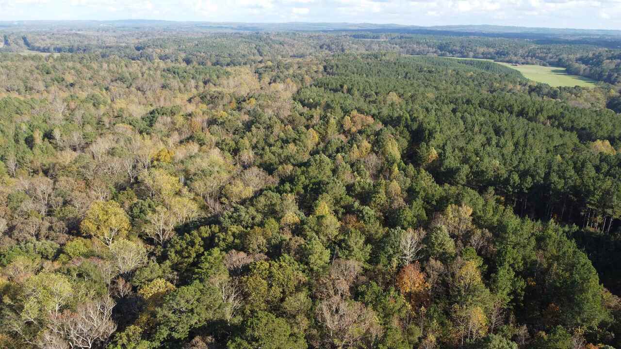 Photo 6 of 28 of 0-TR 6A County Rd 408 land