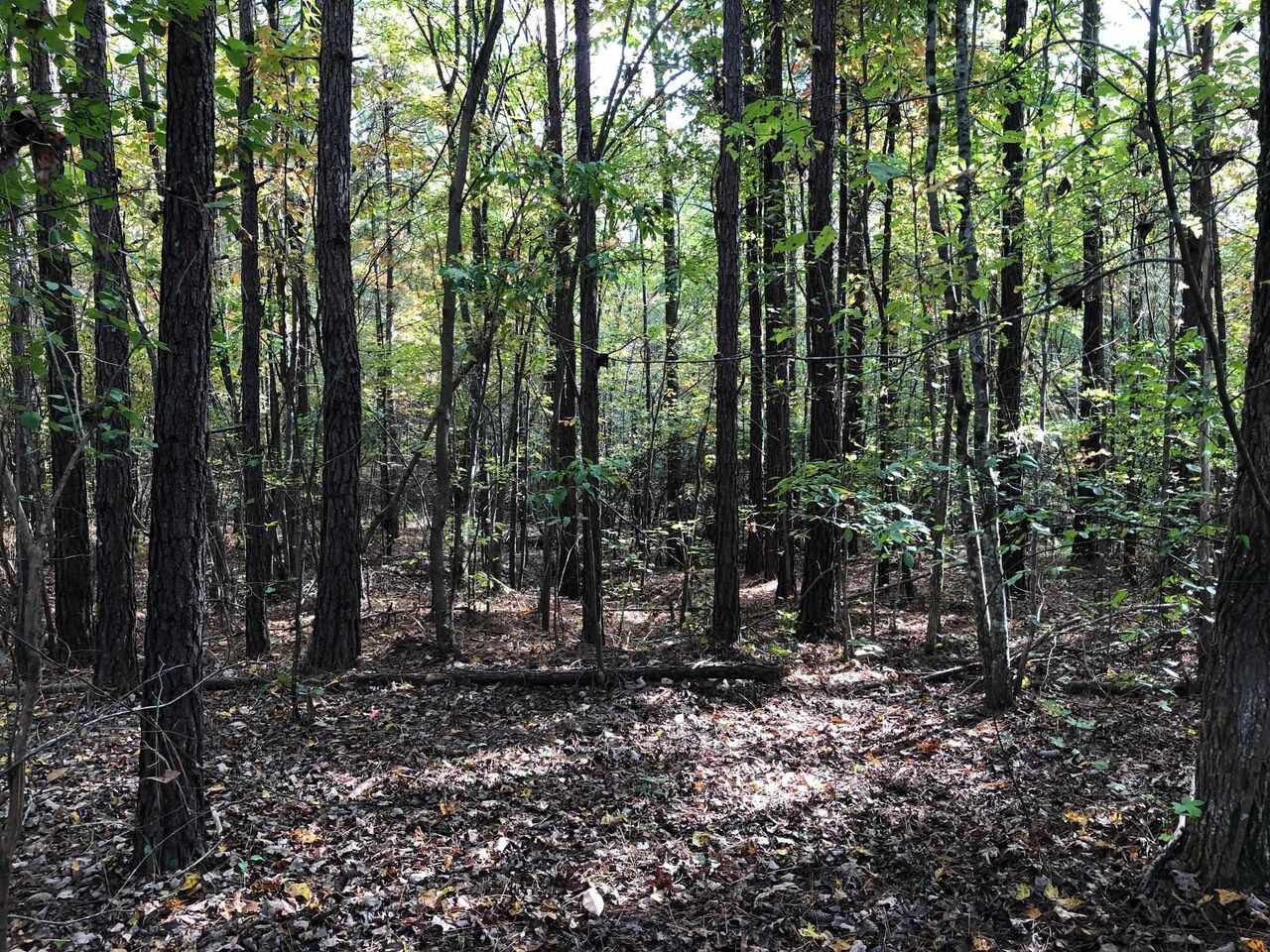 Photo 25 of 28 of 0-TR 6A County Rd 408 land