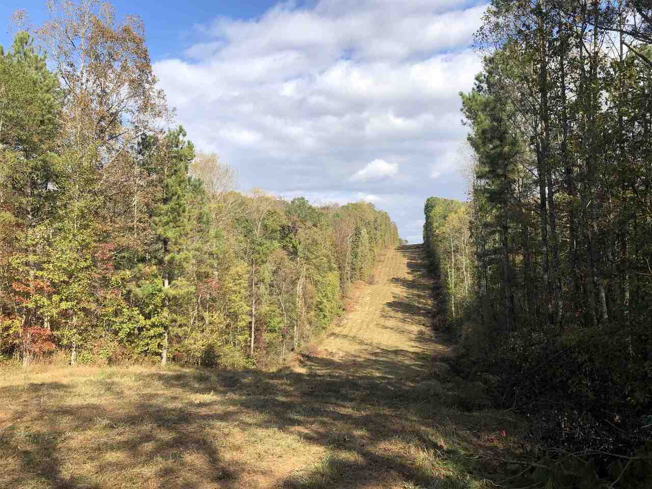 Photo 18 of 28 of 0-TR 6A County Rd 408 land