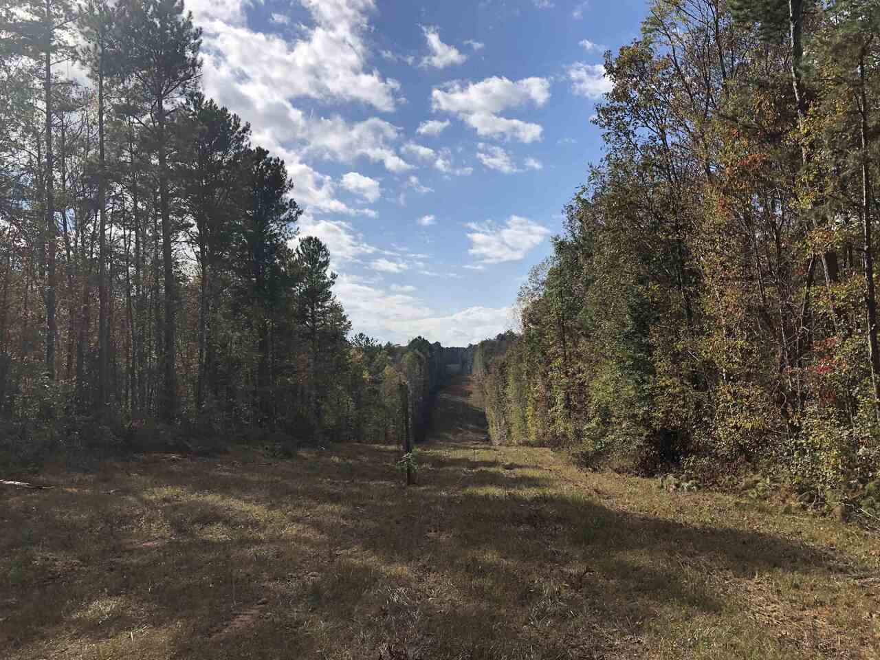 Photo 16 of 28 of 0-TR 6A County Rd 408 land