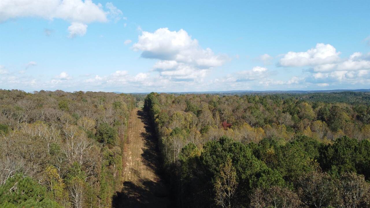 Photo 13 of 28 of 0-TR 6A County Rd 408 land