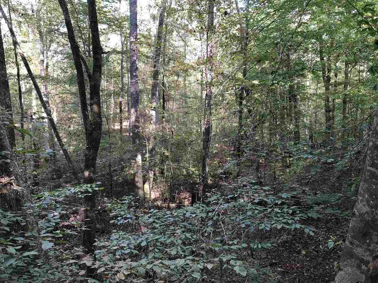 Photo 21 of 28 of 0-TR 6A County Rd 408 land