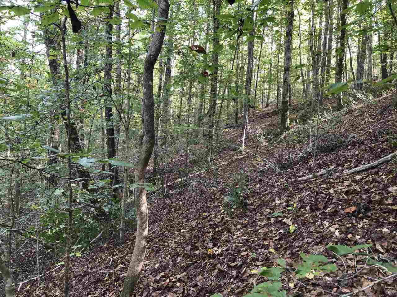 Photo 23 of 28 of 0-TR 6A County Rd 408 land