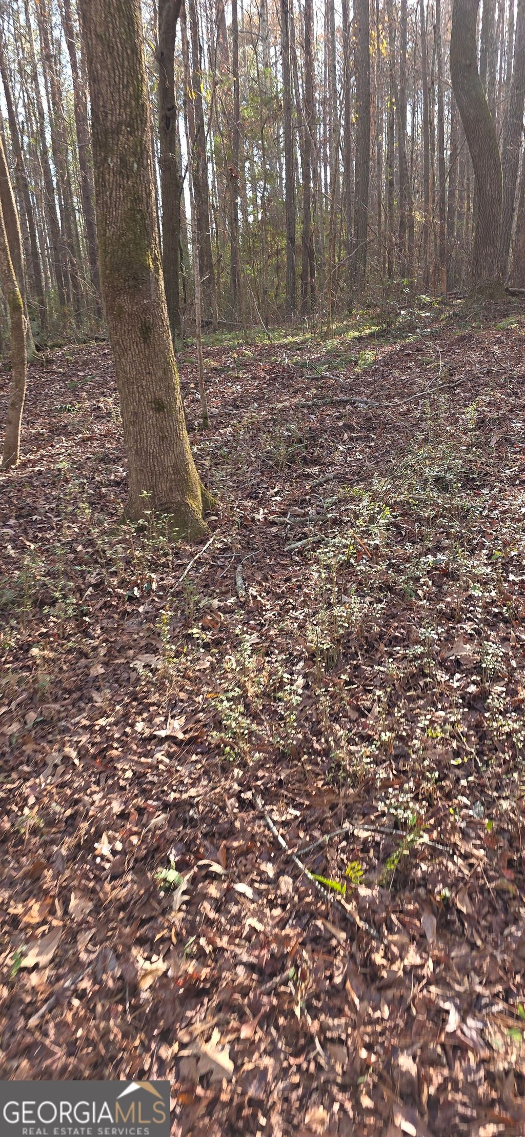 Photo of 0 Martin Street, Mt. Zion, GA 30150 (MLS # 10658590)