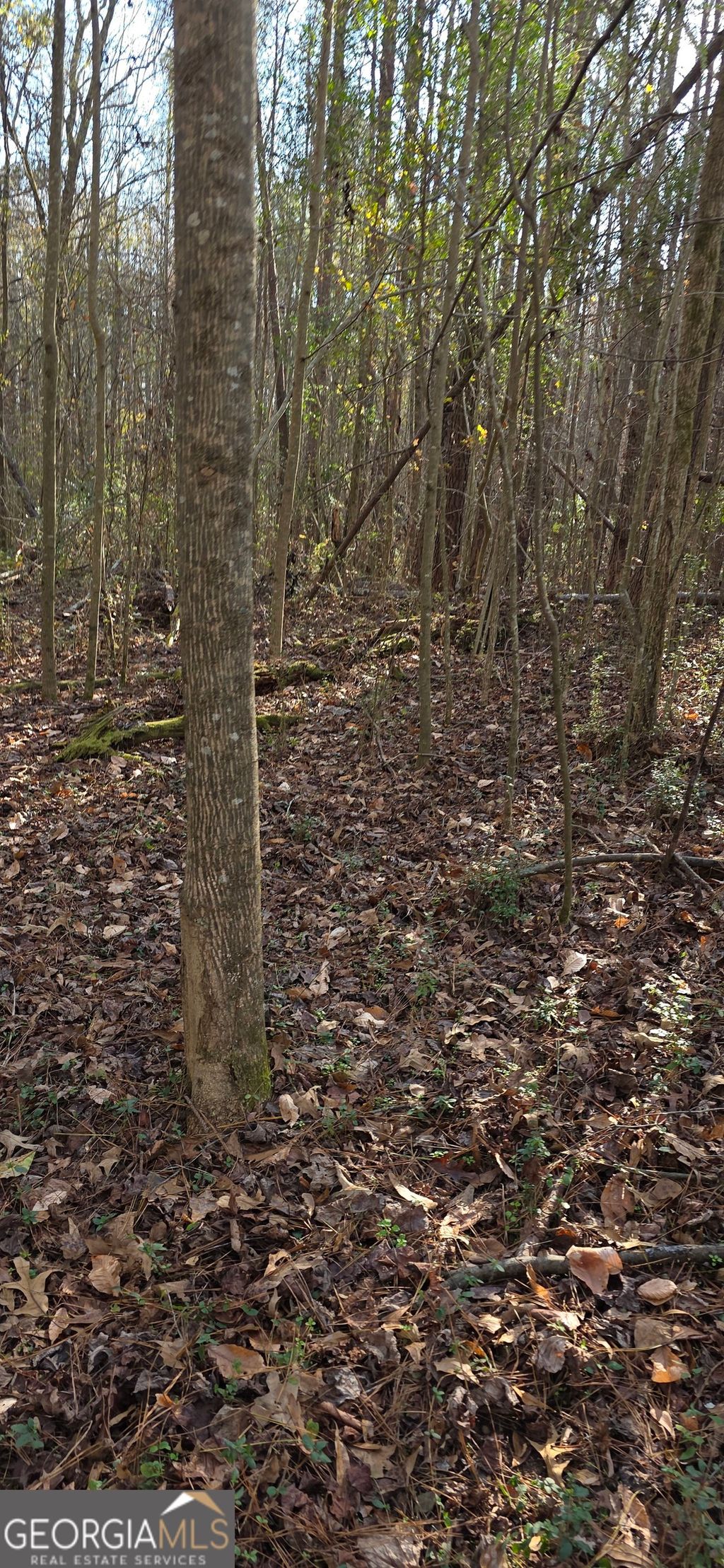 Photo of 0 Martin Street, Mt. Zion, GA 30150 (MLS # 10658590)