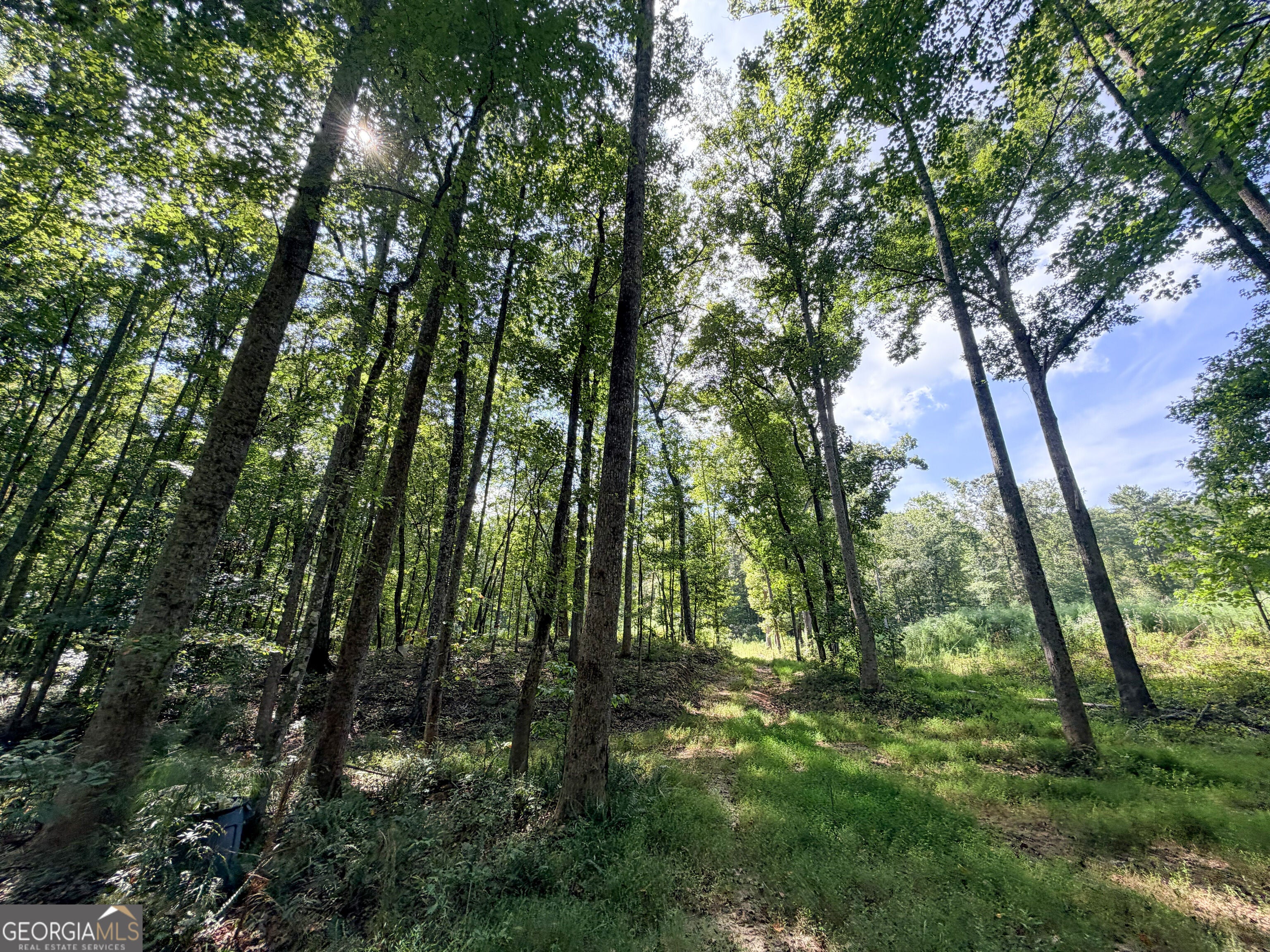 1620 Cross Plains Hulett RD