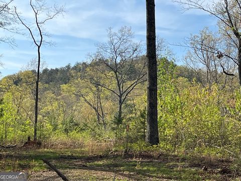 0 Stone Pile Gap RD Ellijay GA 30540