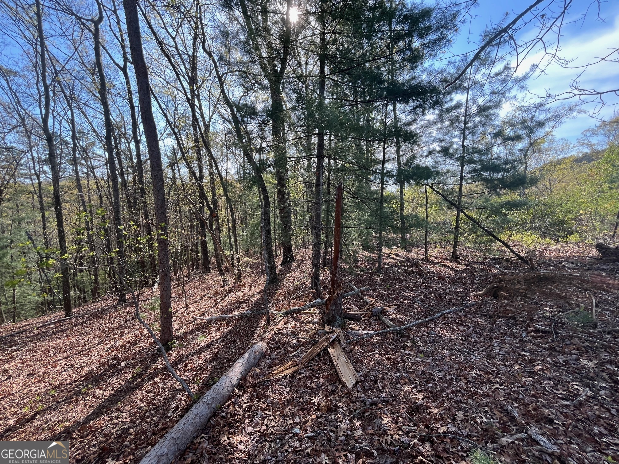 0 Stone Pile Gap RD
