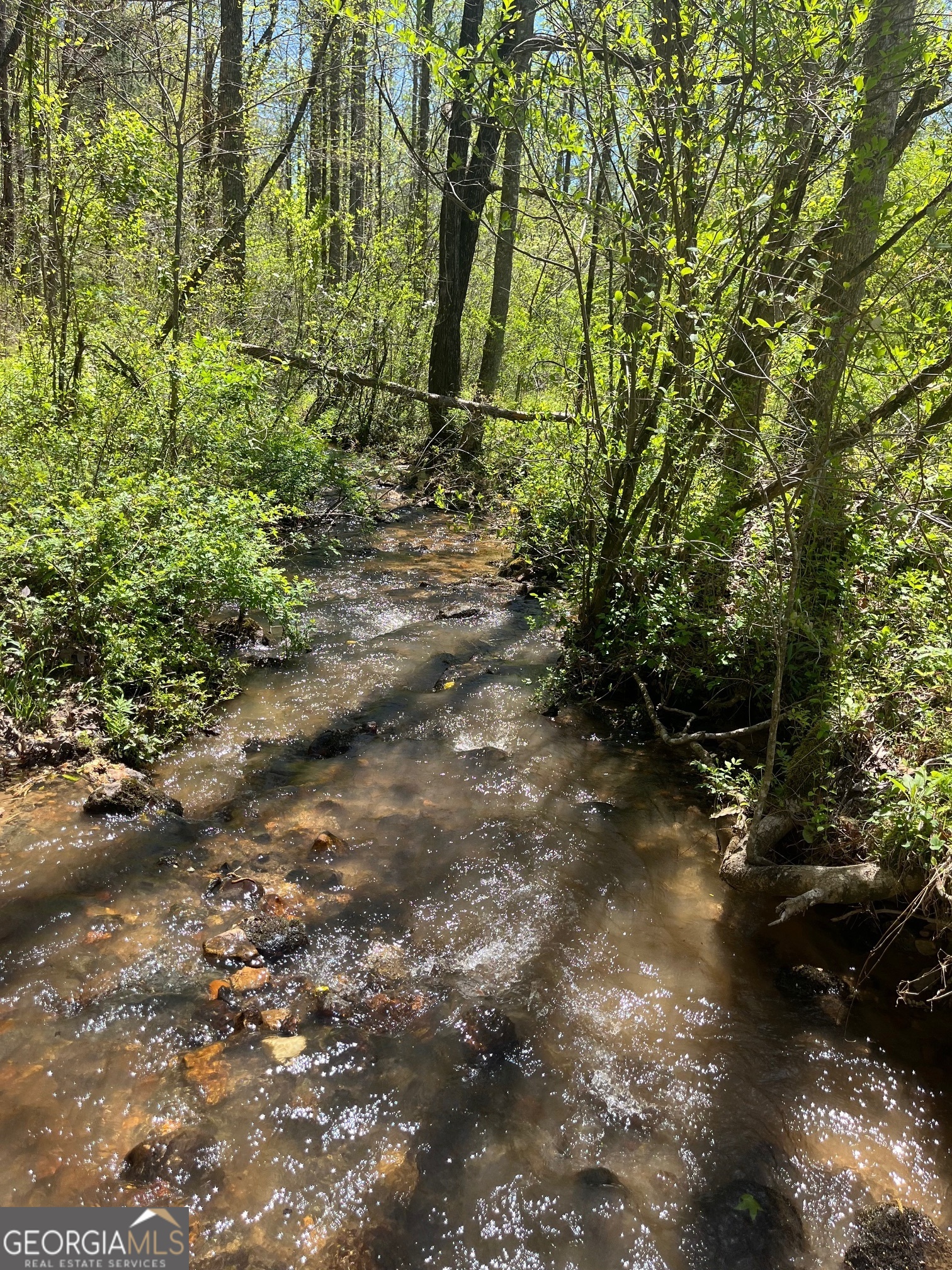 0 Stone Pile Gap RD