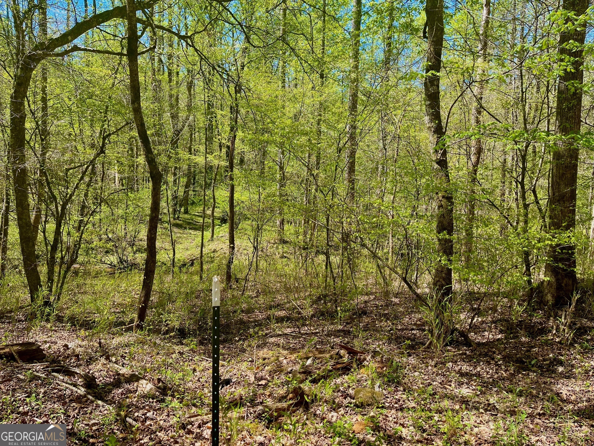 0 Stone Pile Gap RD