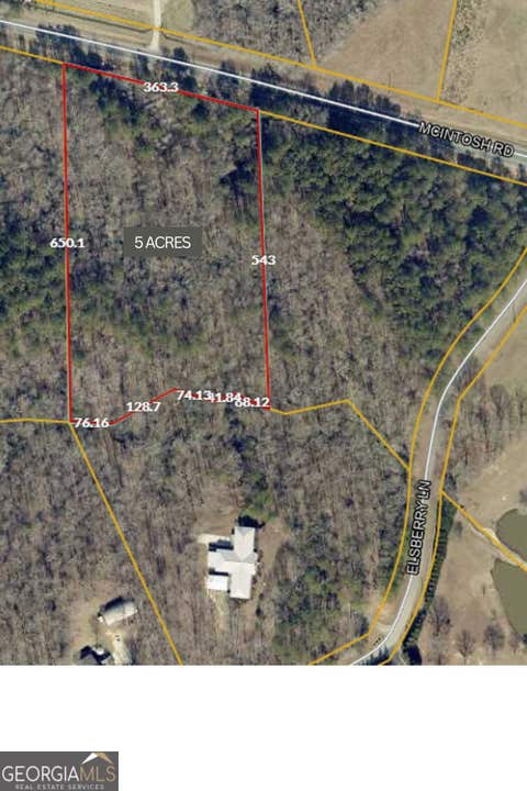 Photo of 443 McIntosh Road, Brooks, GA 30205 (MLS # 10821148)