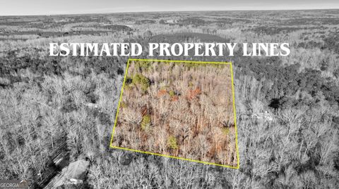 0 Haynie RD Moreland GA 30259