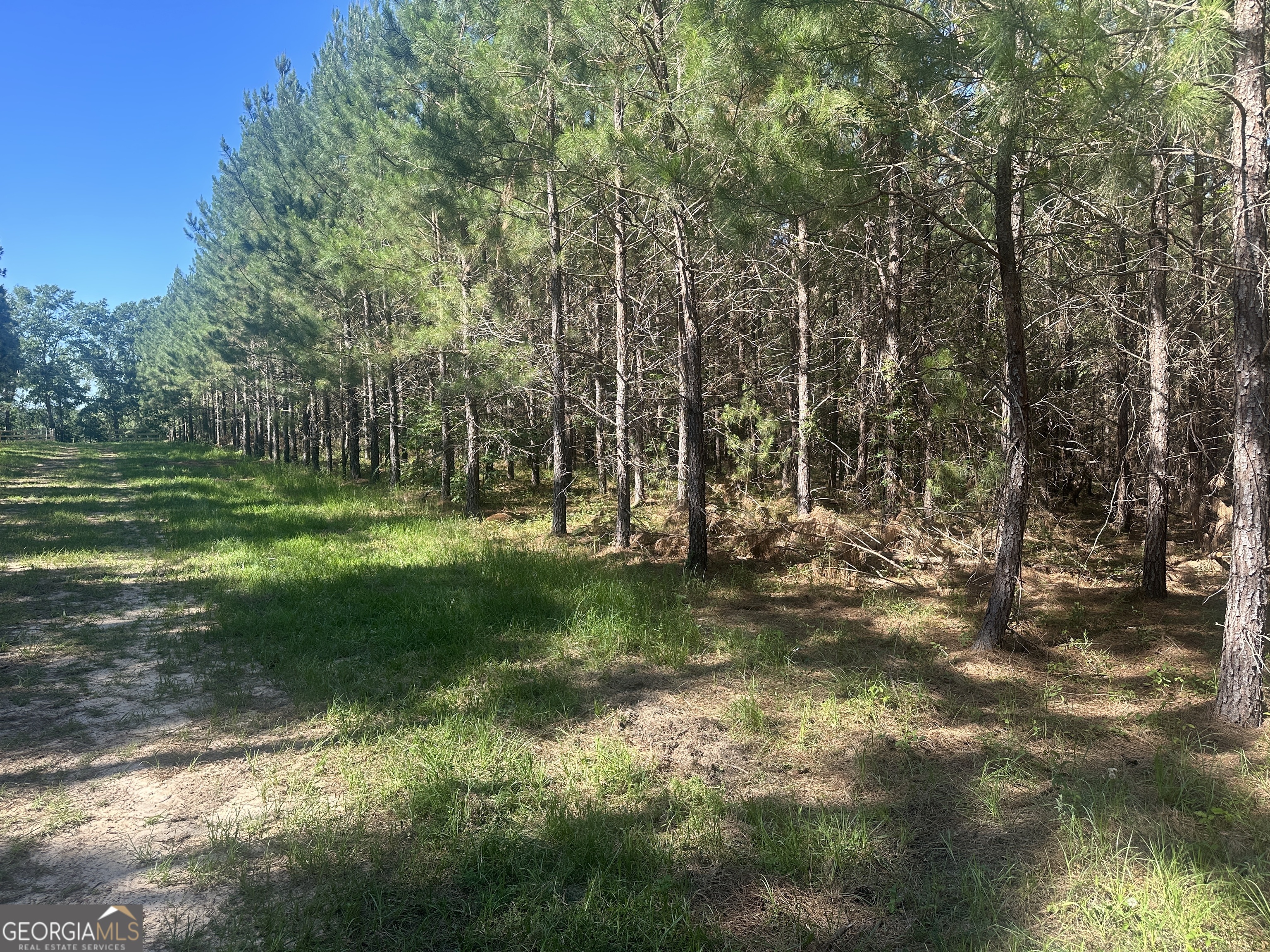 0 Dorsey Clark RD