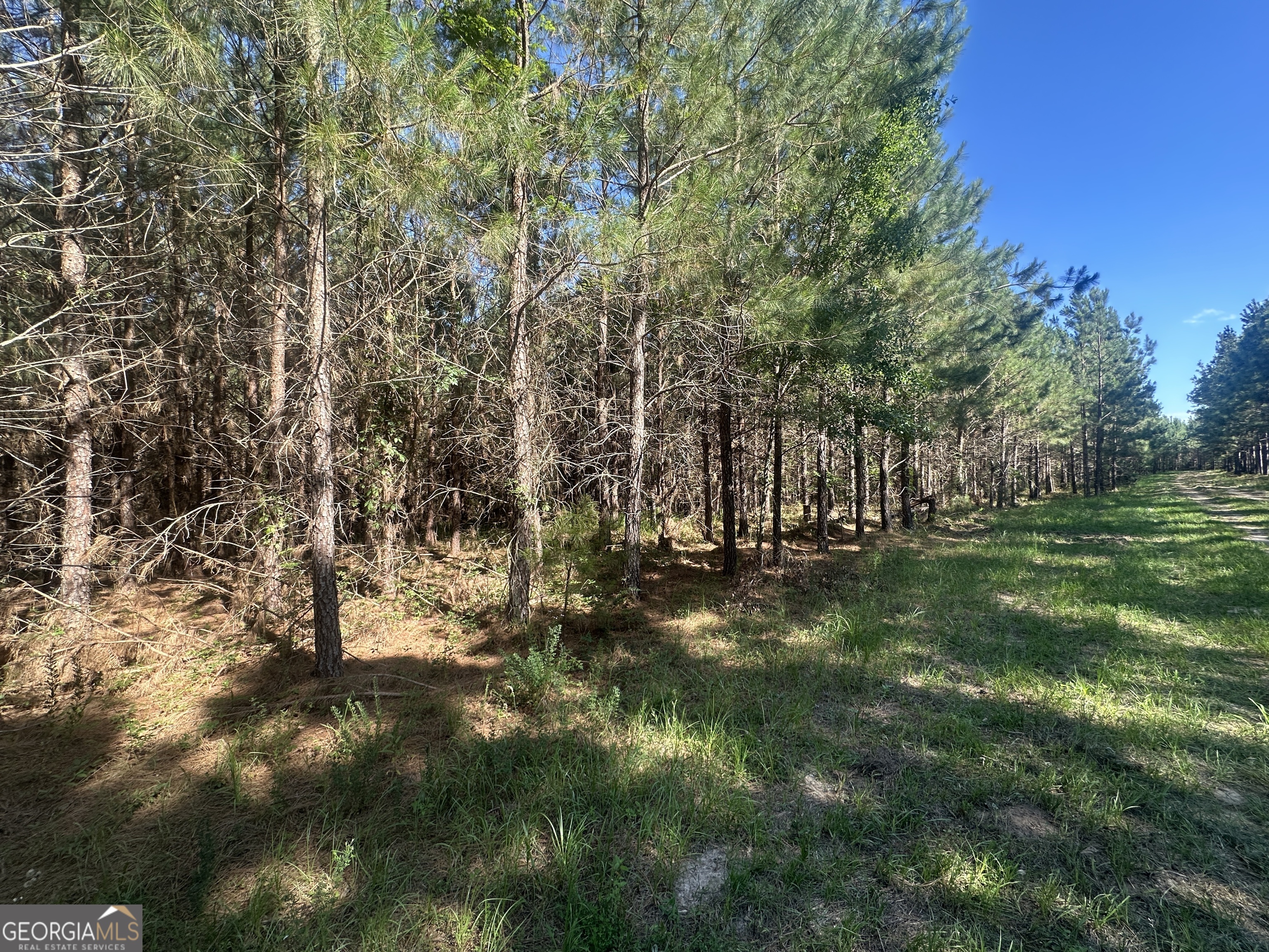 0 Dorsey Clark RD