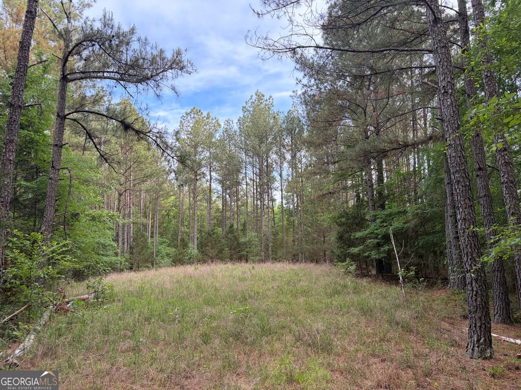Photo of 0 Get-A-Way Lane, Carlton, GA 30627 (MLS # 10759008)