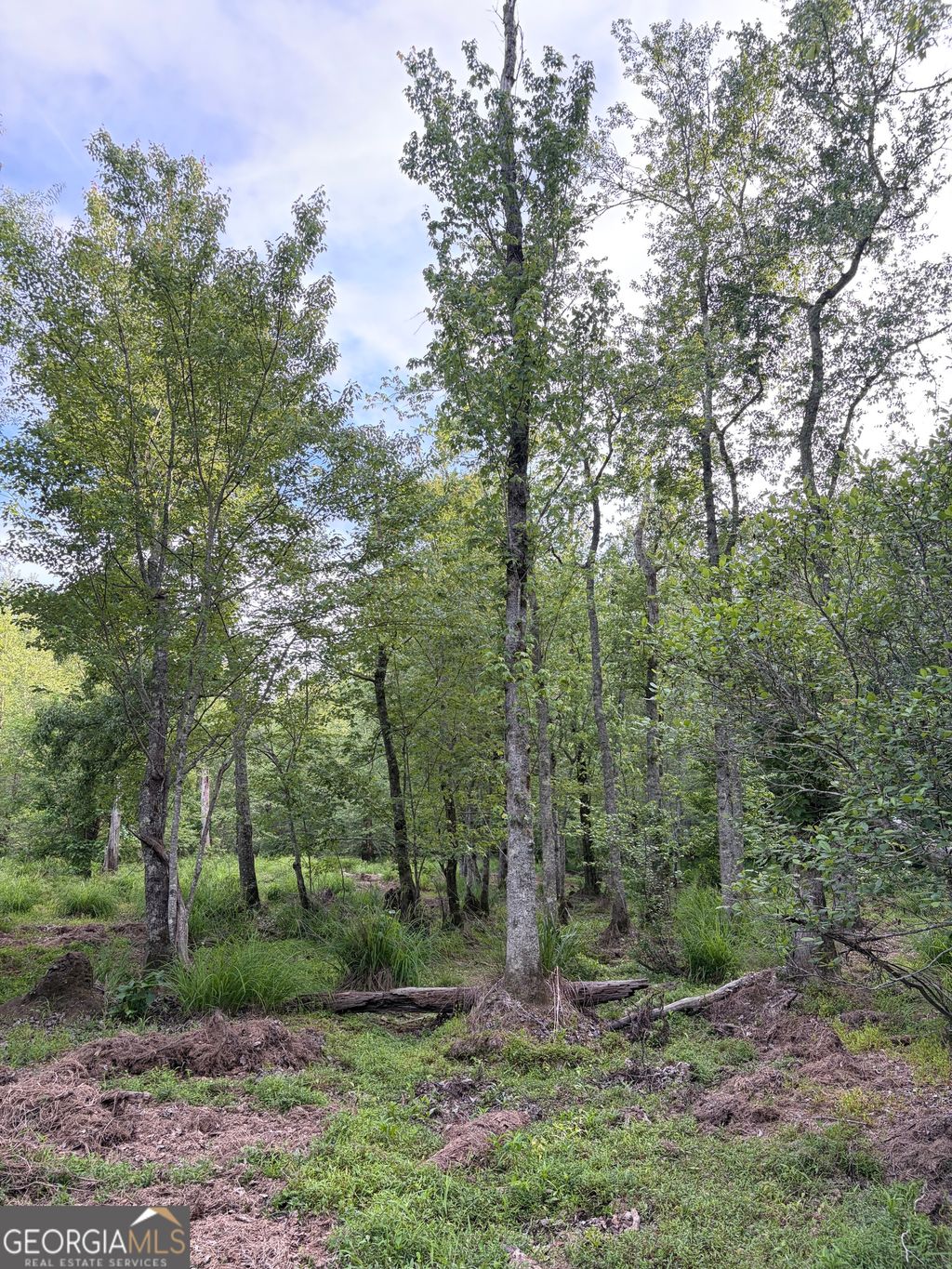 Photo of 0 Get-A-Way Lane, Carlton, GA 30627 (MLS # 10759008)