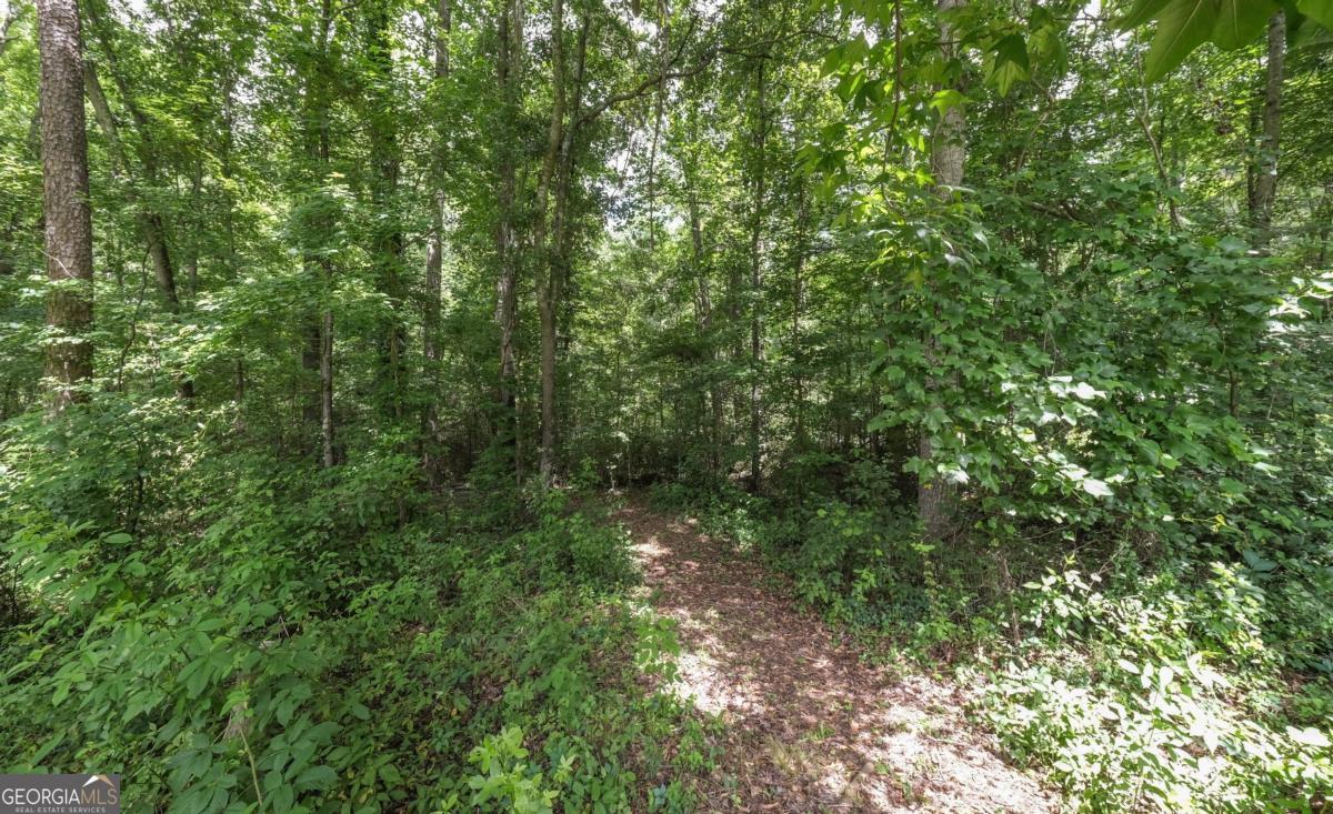 6945 John Rivers Road