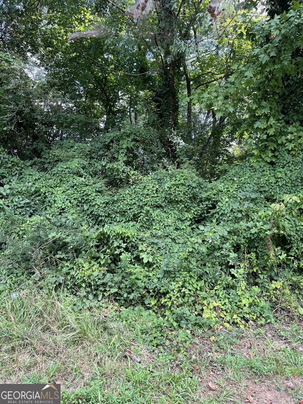 Photo of 238 Canton Street, Canton, GA 30114 (MLS # 10825972)