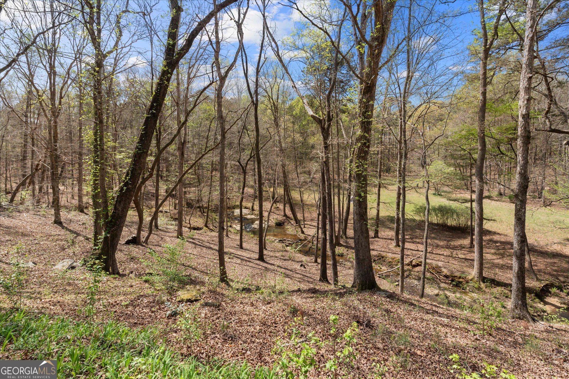 3880 Fern Springs LN