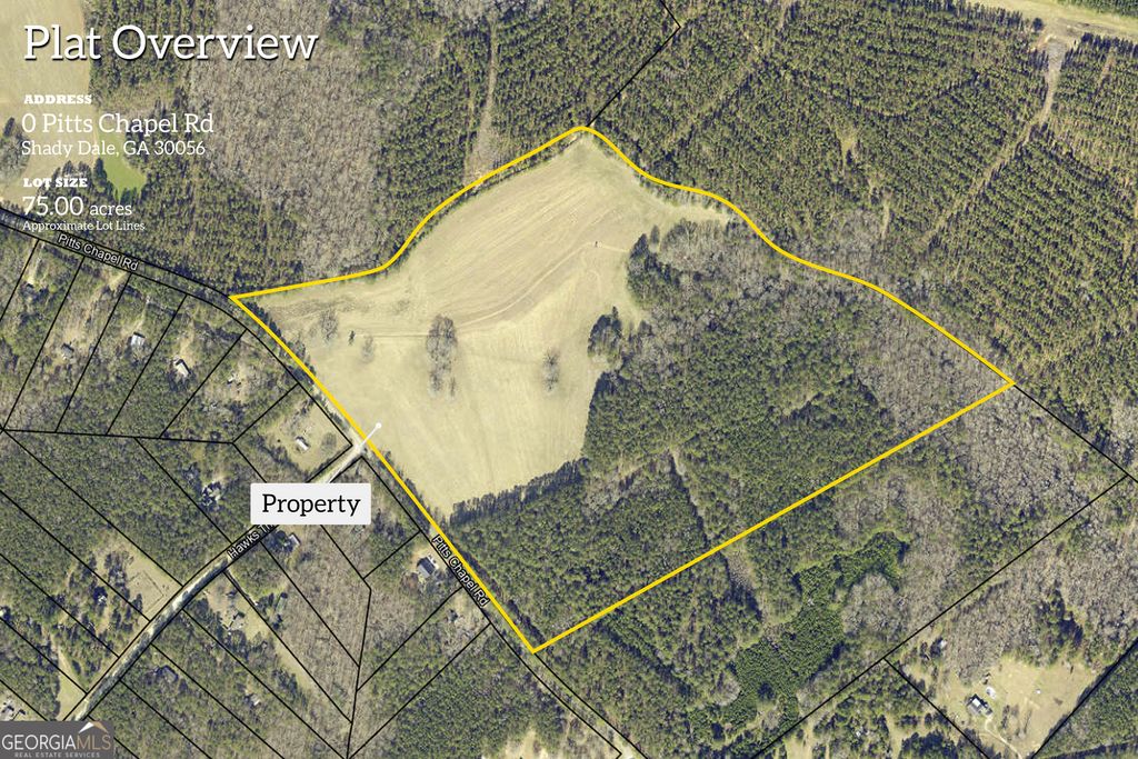 Photo of 0 Pitts Chapel Road, Monticello, GA 31064 (MLS # 10766086)