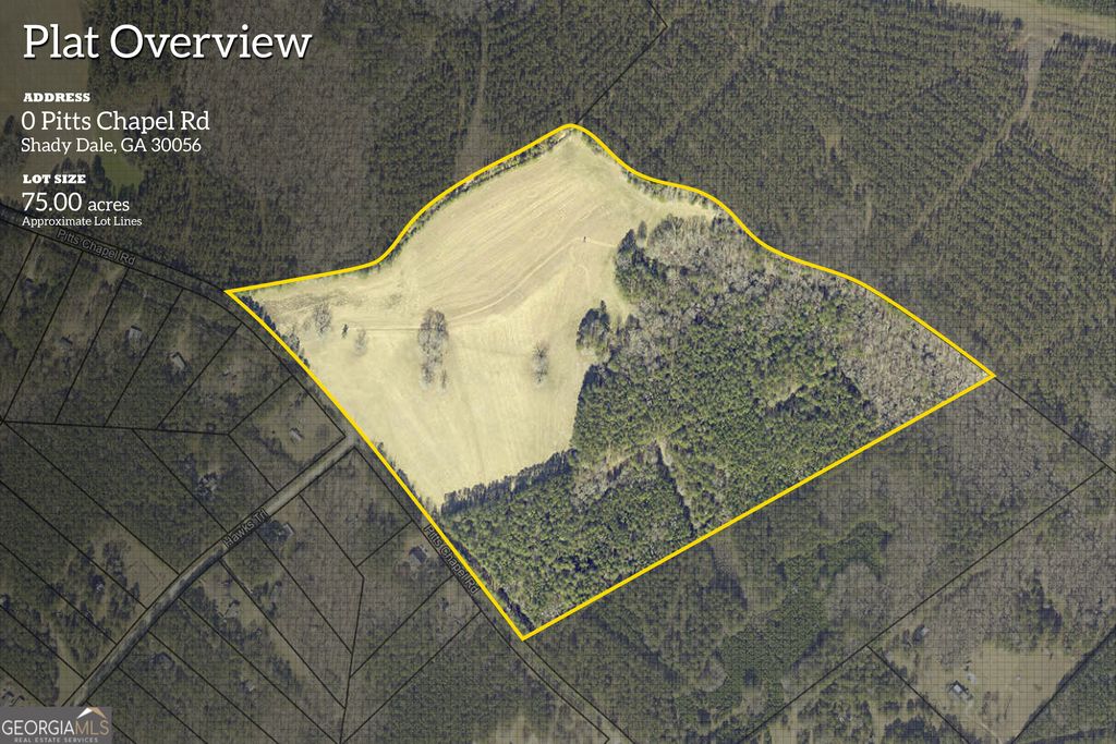 Photo of 0 Pitts Chapel Road, Monticello, GA 31064 (MLS # 10766086)