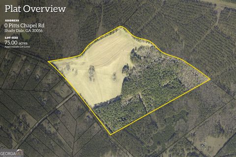 Photo of 0 Pitts Chapel Road, Monticello, GA 31064 (MLS # 10766086)