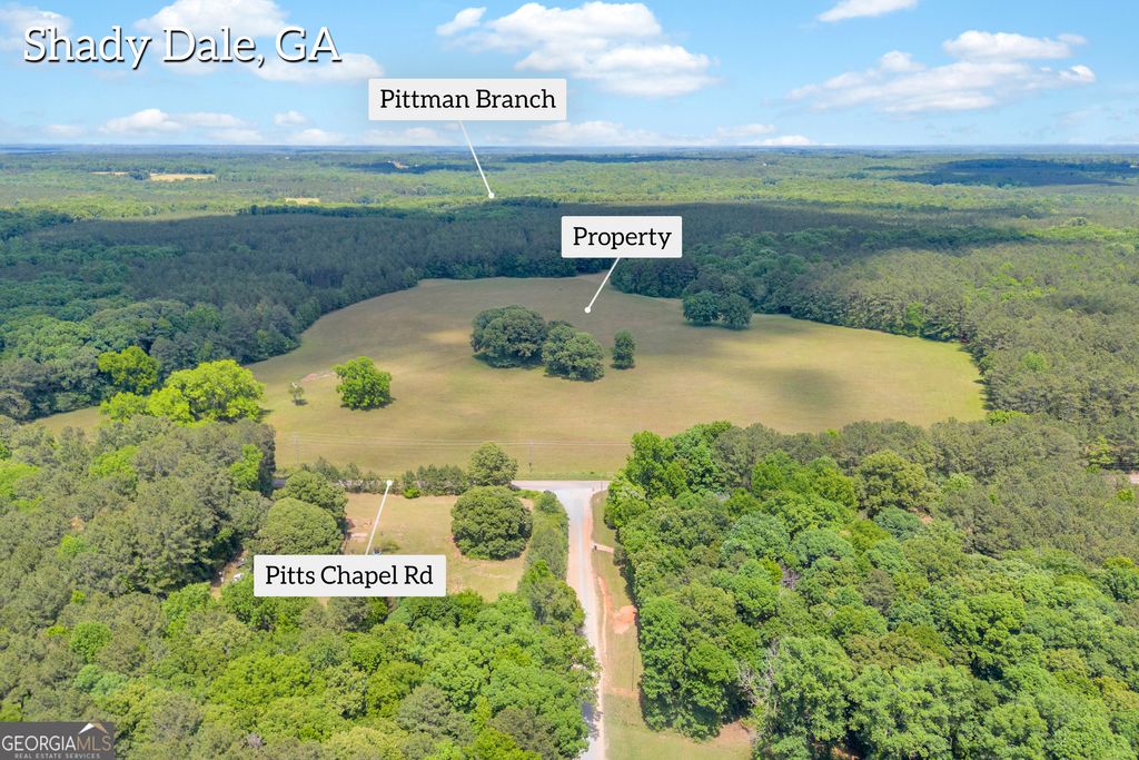 Photo of 0 Pitts Chapel Road, Monticello, GA 31064 (MLS # 10766086)